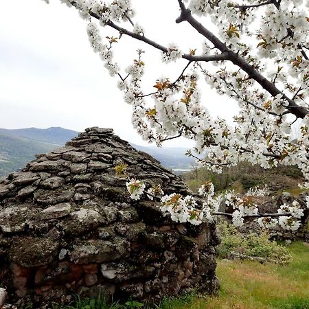 Apartamento Rural Amaluna El Torno  Bagian luar foto