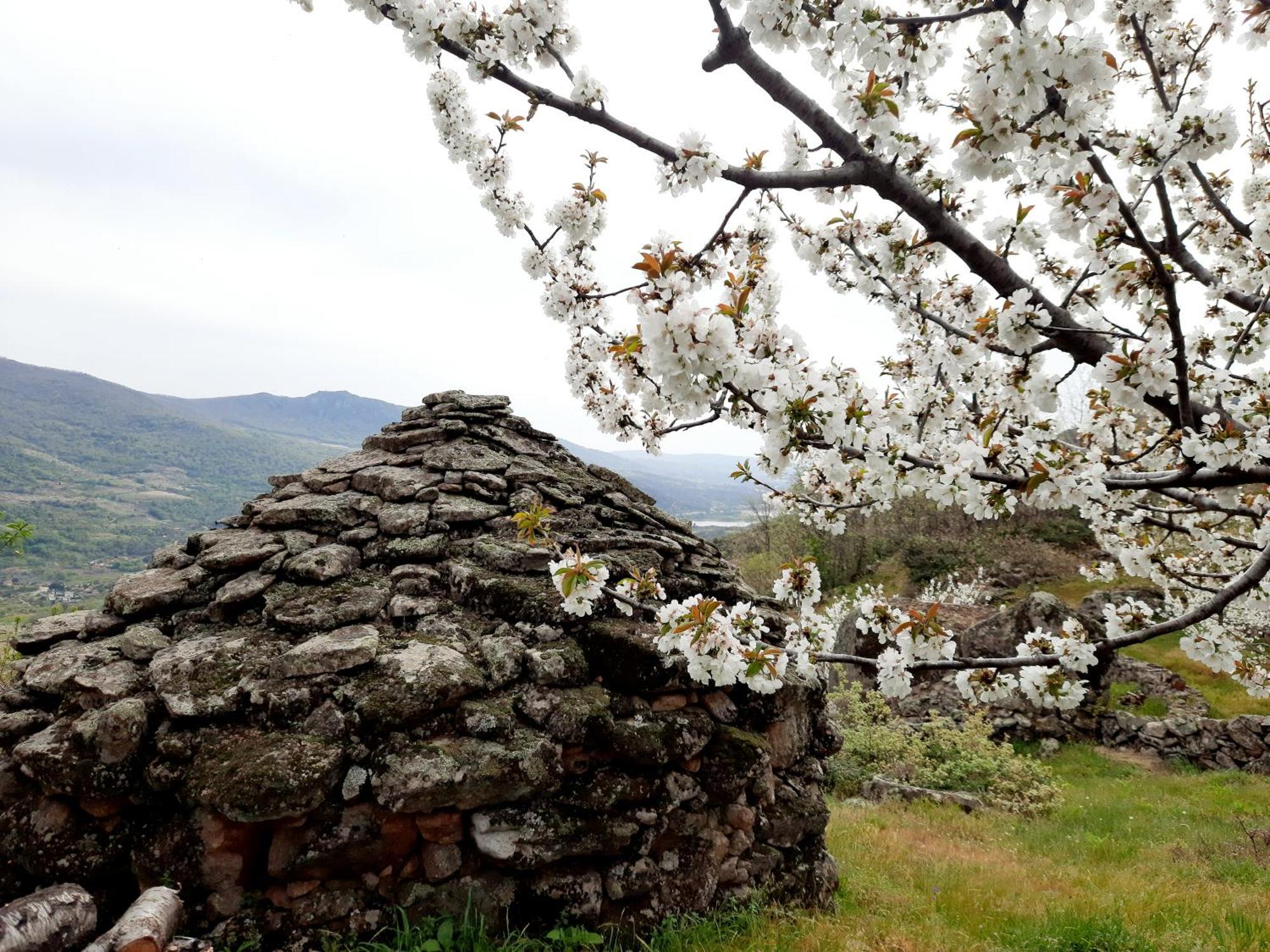 Apartamento Rural Amaluna El Torno  Bagian luar foto